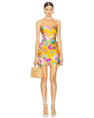 Astr Cerinthe Dress - Yellow