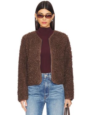 Steve Madden Teddy ジャケット - ブラウン