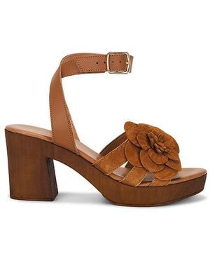 Seychelles Chasing Sunsets Sandal - Brown