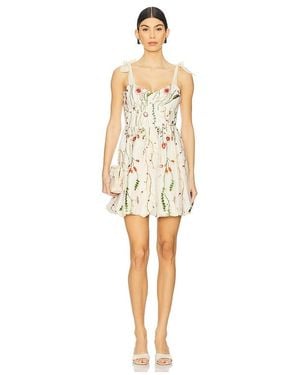 Steve Madden Kavala Dress - White