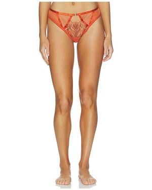 Thistle & Spire Kyra Brazilian Panty - Multicolor