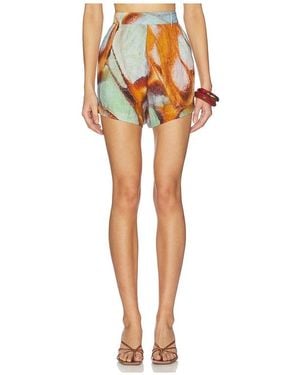 Vitamin A Shorts Getaway - Mehrfarbig