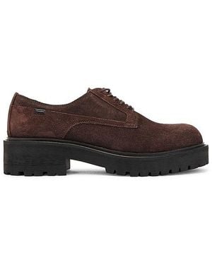 AllSaints Hank Suede Derby - Brown