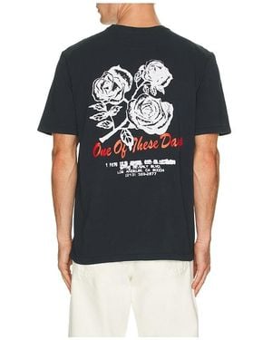 One Of These Days Sweet Jane Tee - Black