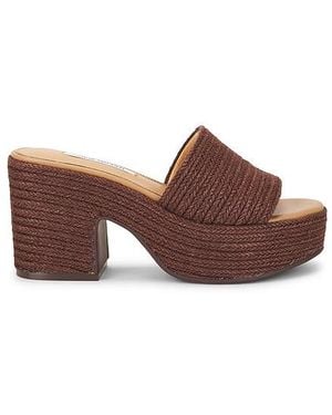 Steve Madden Trippy Sandal - Brown