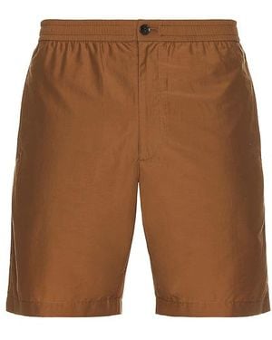 Theory Shorts Straight - Braun