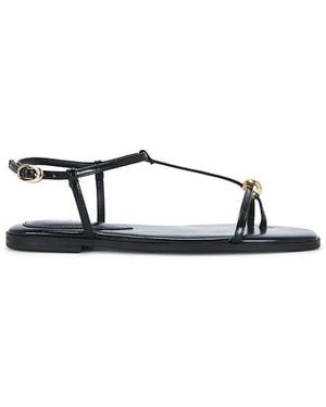 Steve Madden Ritzy Sandal - Multicolor