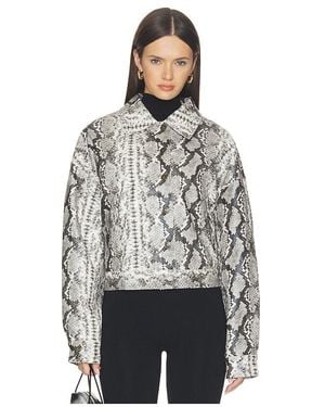 Lioness Angel Jacket - Grey