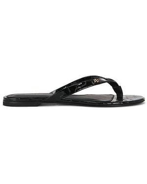 Anine Bing Noelle Thong Sandal - Black
