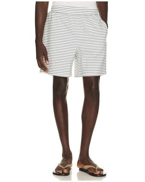 BOUND Stripe Jacquard Shorts - Multicolour