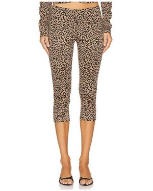 Lioness X Revolve Capri - Multicolour
