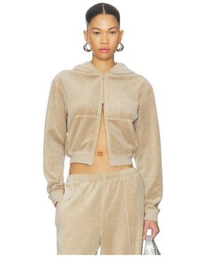 Alexander Wang Hoodie Allover Hotfix Shrunken - Natur