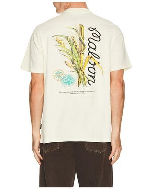 Malbon Camiseta En Color Crema Talla (También En S, M, Xl/1X) - Neutro