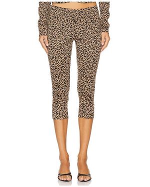 Lioness X Revolve Capri - Multicolour