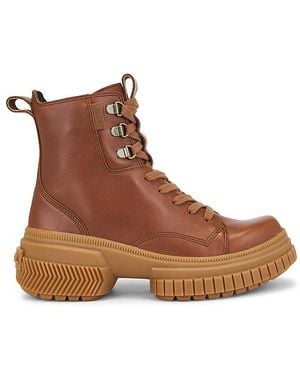 Sorel Boot Ona Ave Lace Wp - Braun