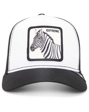 Goorin Bros Exxxtreme Hat - White