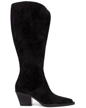 Dolce Vita Pantorrilla Amplia Raj En Talla En - Negro
