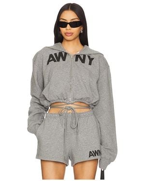 Alexander Wang Hoodie - Grau