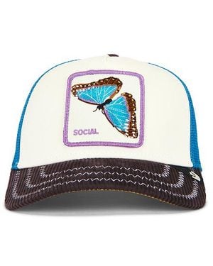Goorin Bros Social Remix Trucker Hat - Blue