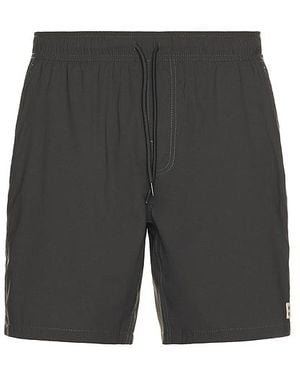 Brixton Shorts Everyday - Grau