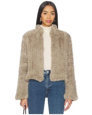 Heartloom Deline Jacket - Blue