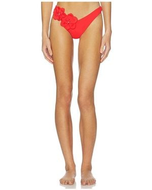 Peixoto Rae Bikini Bottom - Multicolor