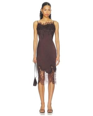 Shona Joy Lucia Lace Midi Dress - Brown