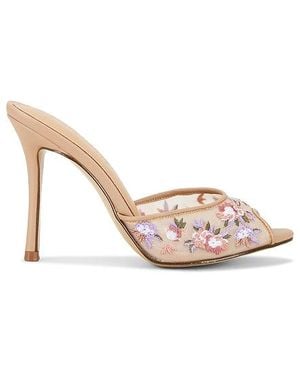 Steve Madden Priya Sandal - Multicolor
