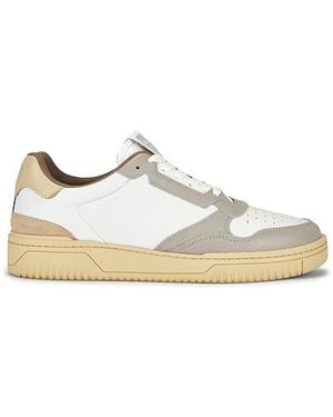 AllSaints Regan Low Top Trainer - White