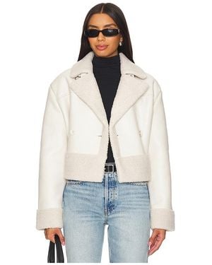 Steve Madden Athen Jacket - Blue