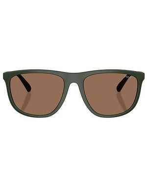 Polo Ralph Lauren Sunglasses - Multicolour