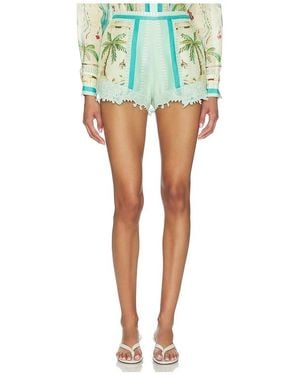 FALGUNI SHANE PEACOCK Tropical Glimpse Shorts - Green