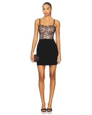 Alice + Olivia Carla Lace Corset Mini Dress - Black