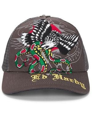 Ed Hardy Eagle Snake Hat - Multicolour