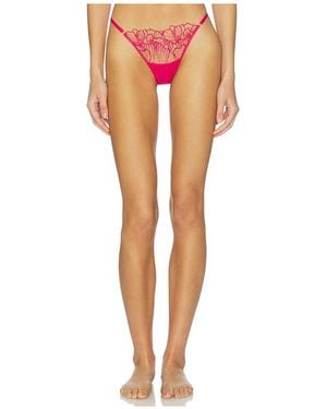 Bluebella Amarosa Thong - Orange