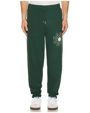 Prince Tennis Fleece Pant - Green