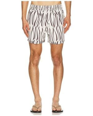 Frescobol Carioca Rio Vento Print Swim Short - Multicolour