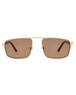 Lu Goldie Billie Sunglasses - Brown