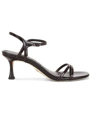 Sam Edelman Sandale Presley - Braun