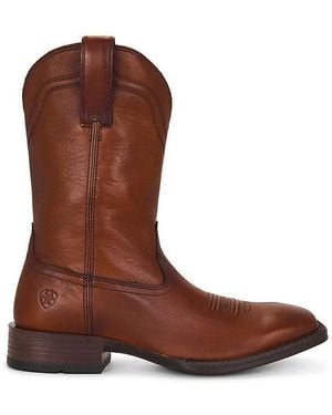 Ariat Alden Wide Square Toe - Brown