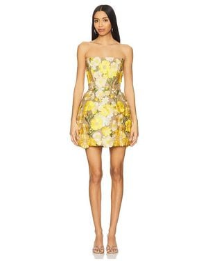 Bronx and Banco Jasmine Maraya Mini Dress - Yellow