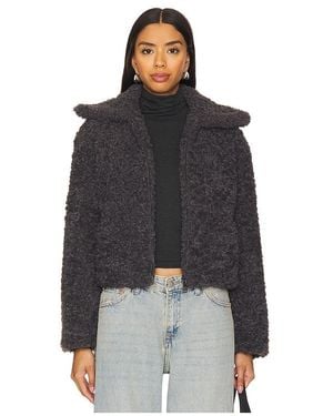 Steve Madden Pippin Jacket - Black