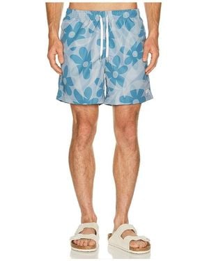 Bather Grotto Daisy Trip Swim Trunk - Blue