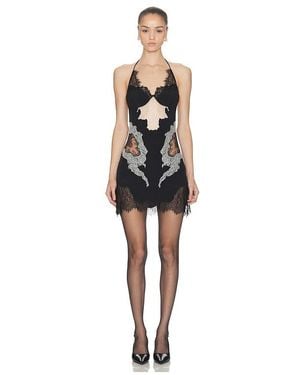 Halo Lace Collage Dress - Black