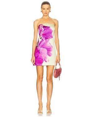 Steve Madden Petal Dress - Pink