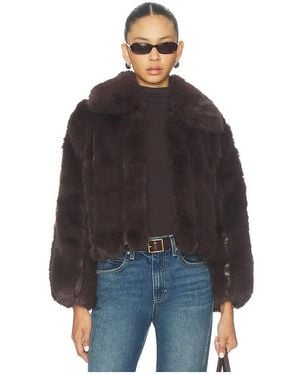 Heartloom Lana Jacket - Black