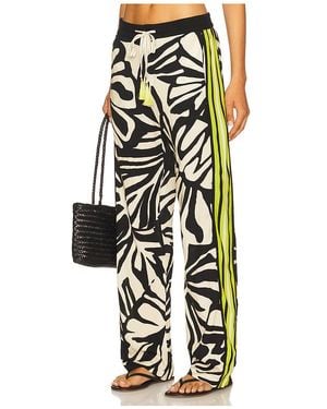 Le Superbe Bohemian Rhapsody Beach Boxer Trousers - Multicolour