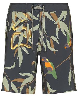 Roark Shorts Passage - Blau