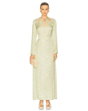 Alexis Skyla Dress - White
