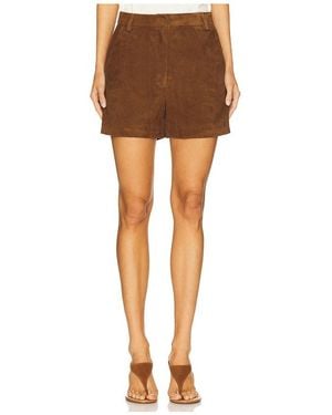 AEXAE Leather Suede Short - Brown